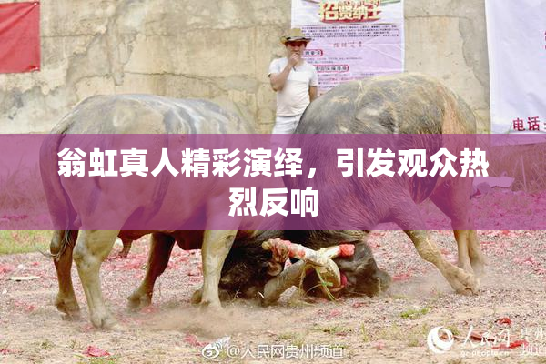 翁虹真人精彩演绎，引发观众热烈反响