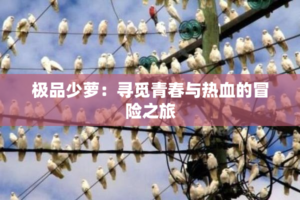 极品少萝：寻觅青春与热血的冒险之旅