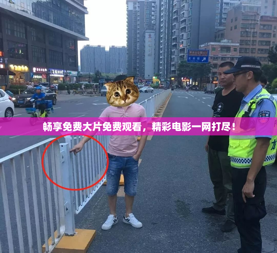 畅享免费大片免费观看，精彩电影一网打尽！