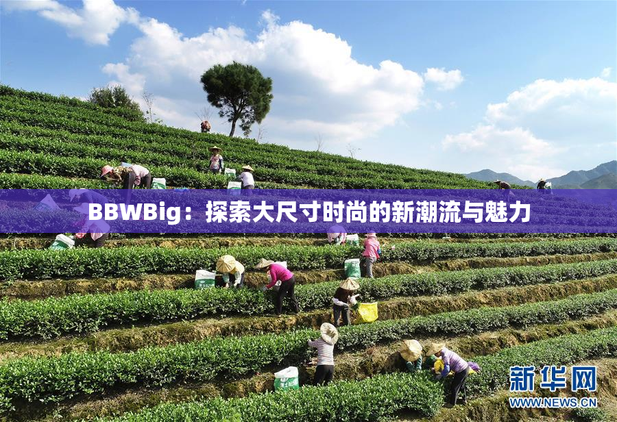 BBWBig：探索大尺寸时尚的新潮流与魅力