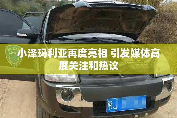 小泽玛利亚再度亮相 引发媒体高度关注和热议