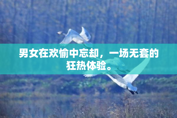 男女在欢愉中忘却，一场无套的狂热体验。