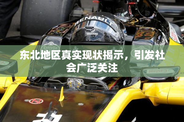东北地区真实现状揭示，引发社会广泛关注