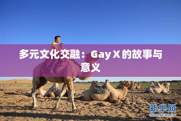 多元文化交融：GayⅩ的故事与意义
