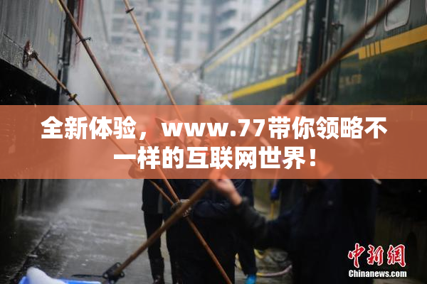 全新体验，www.77带你领略不一样的互联网世界！
