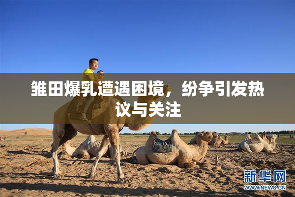 雏田爆乳遭遇困境，纷争引发热议与关注