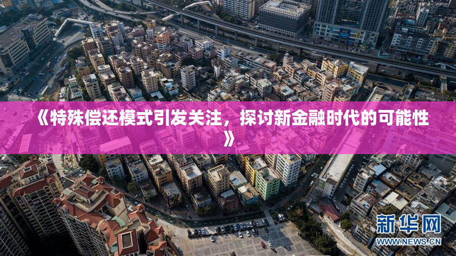 《特殊偿还模式引发关注，探讨新金融时代的可能性》