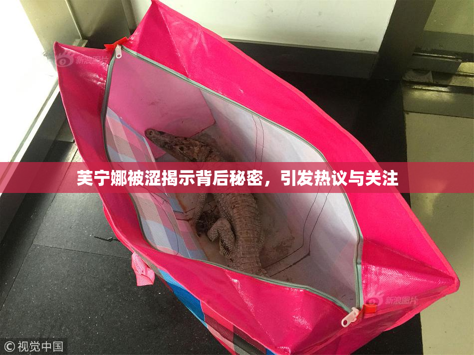 芙宁娜被涩揭示背后秘密，引发热议与关注