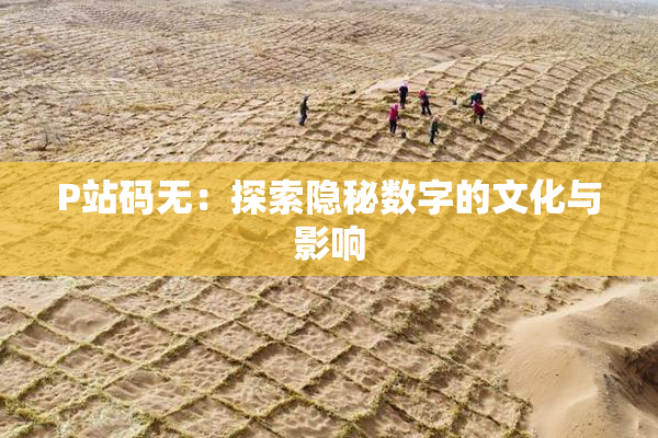 P站码无：探索隐秘数字的文化与影响