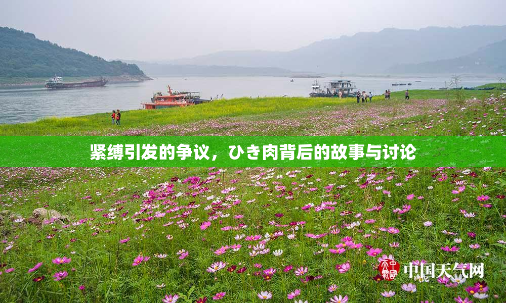 紧缚引发的争议，ひき肉背后的故事与讨论