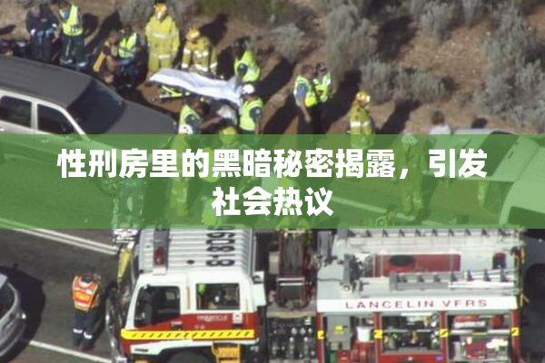 性刑房里的黑暗秘密揭露，引发社会热议