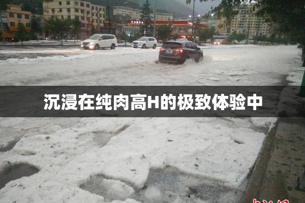 沉浸在纯肉高H的极致体验中