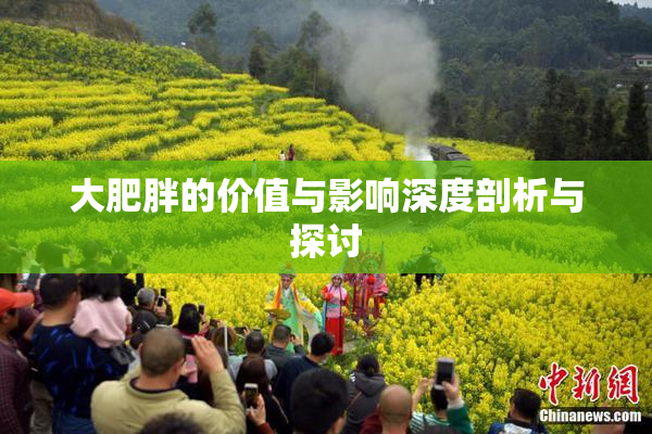 大肥胖的价值与影响深度剖析与探讨