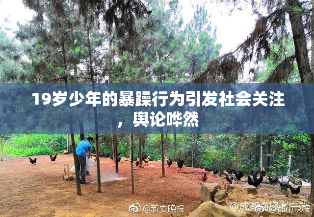 19岁少年的暴躁行为引发社会关注，舆论哗然