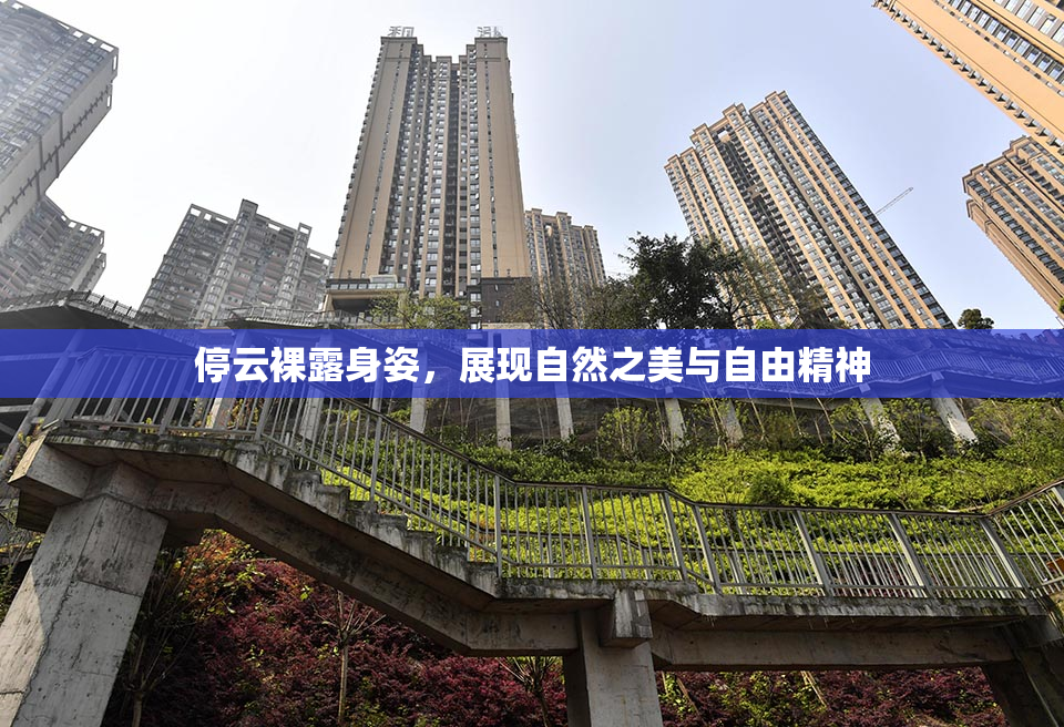 停云裸露身姿，展现自然之美与自由精神