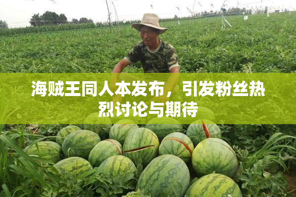 海贼王同人本发布，引发粉丝热烈讨论与期待