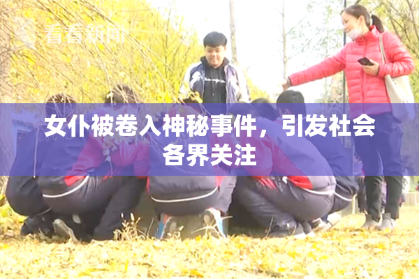 女仆被卷入神秘事件，引发社会各界关注