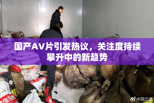 国产AV片引发热议，关注度持续攀升中的新趋势