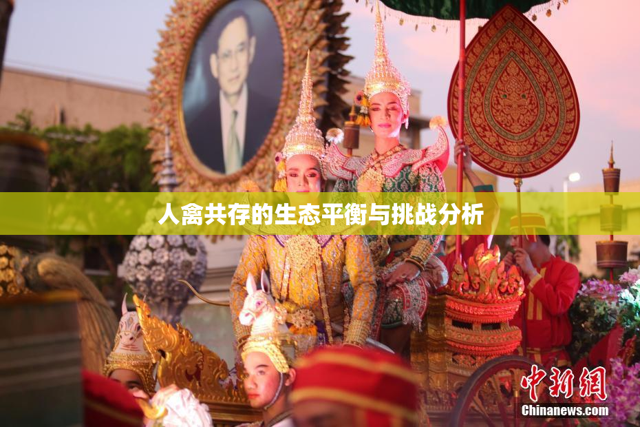 人禽共存的生态平衡与挑战分析