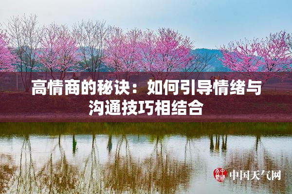 高情商的秘诀：如何引导情绪与沟通技巧相结合