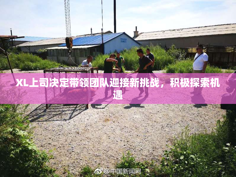 XL上司决定带领团队迎接新挑战，积极探索机遇