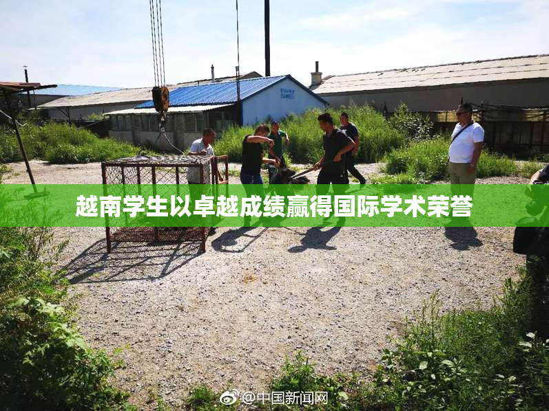 越南学生以卓越成绩赢得国际学术荣誉