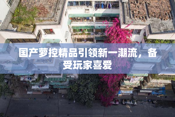 国产萝控精品引领新一潮流，备受玩家喜爱