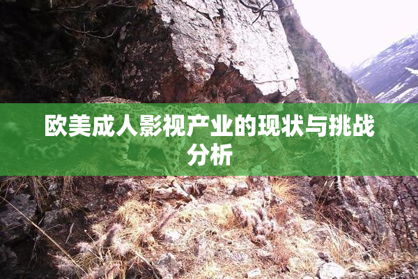 欧美成人影视产业的现状与挑战分析