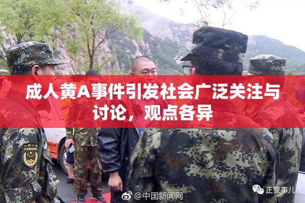 成人黄A事件引发社会广泛关注与讨论，观点各异