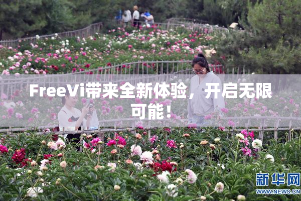 FreeVi带来全新体验，开启无限可能！