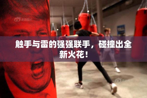 触手与雷的强强联手，碰撞出全新火花！
