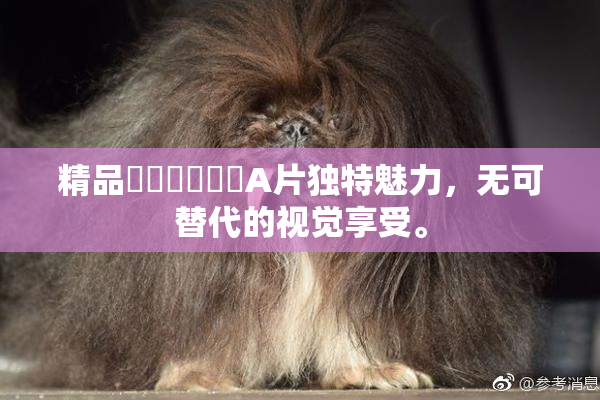 精品❌‌❌‌❌‌A片独特魅力，无可替代的视觉享受。