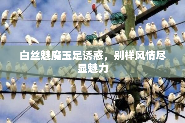 白丝魅魔玉足诱惑，别样风情尽显魅力