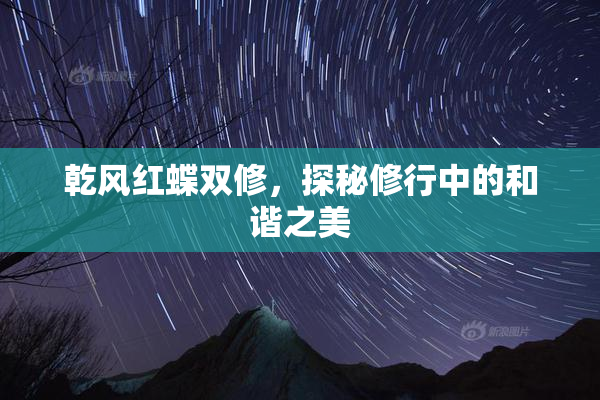 乾风红蝶双修，探秘修行中的和谐之美