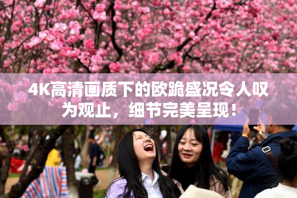 4K高清画质下的欧跪盛况令人叹为观止，细节完美呈现！