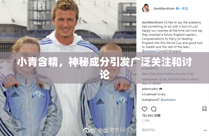 小青含精，神秘成分引发广泛关注和讨论