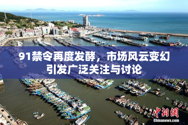 91禁令再度发酵，市场风云变幻引发广泛关注与讨论