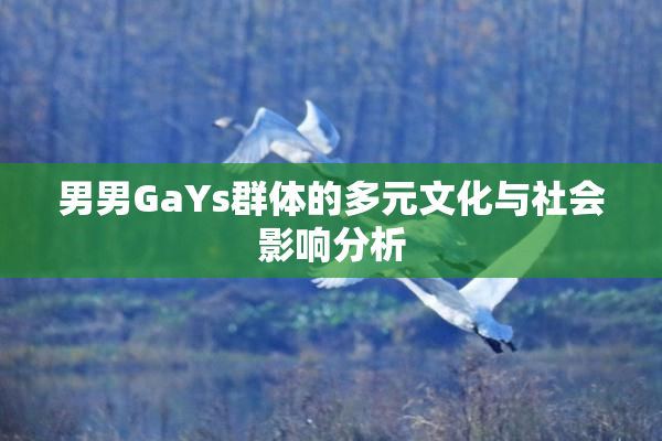 男男GaYs群体的多元文化与社会影响分析