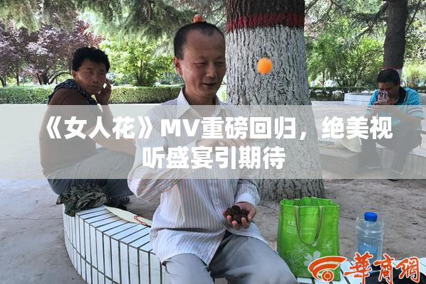 《女人花》MV重磅回归，绝美视听盛宴引期待