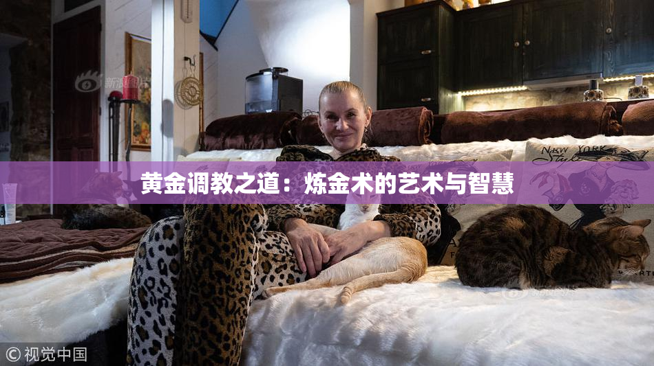 黄金调教之道：炼金术的艺术与智慧