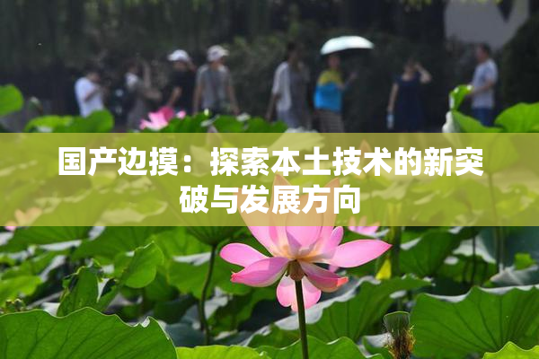 国产边摸：探索本土技术的新突破与发展方向