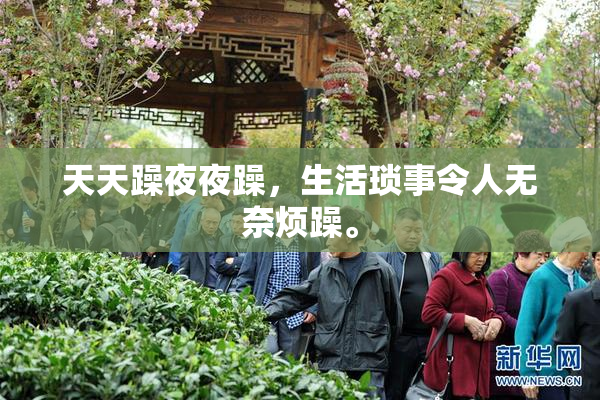 天天躁夜夜躁，生活琐事令人无奈烦躁。