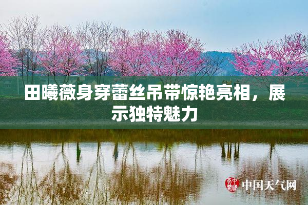 田曦薇身穿蕾丝吊带惊艳亮相，展示独特魅力