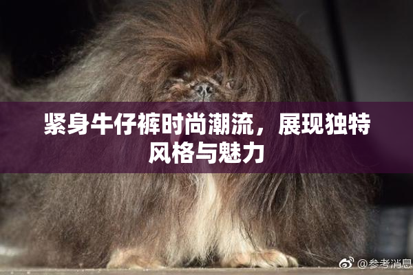 紧身牛仔裤时尚潮流，展现独特风格与魅力