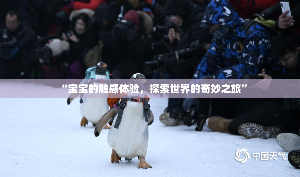 “宝宝的触感体验，探索世界的奇妙之旅”