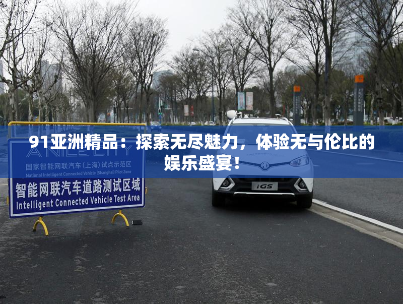 91亚洲精品：探索无尽魅力，体验无与伦比的娱乐盛宴！