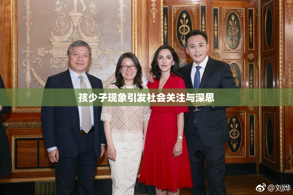 孩少子现象引发社会关注与深思