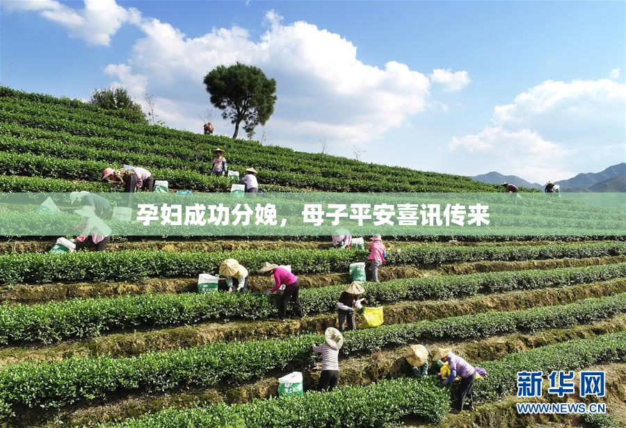 孕妇成功分娩，母子平安喜讯传来