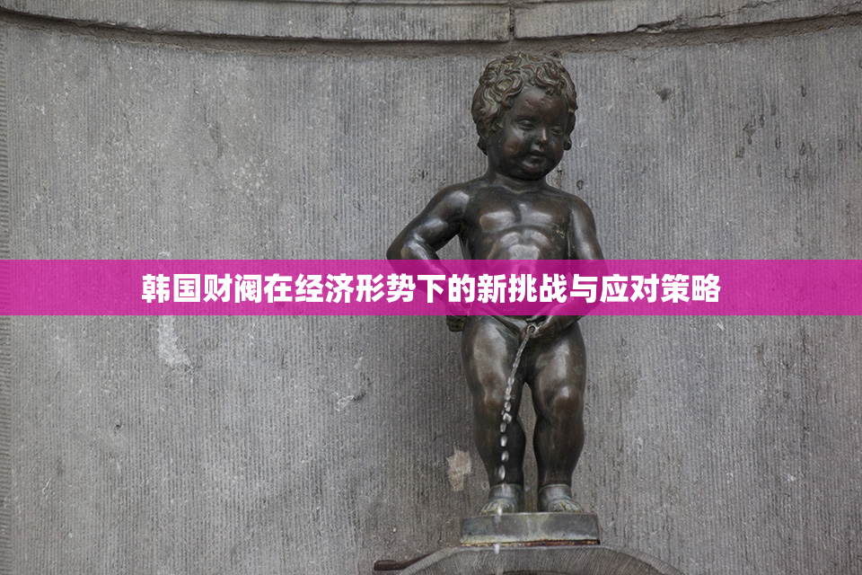 韩国财阀在经济形势下的新挑战与应对策略