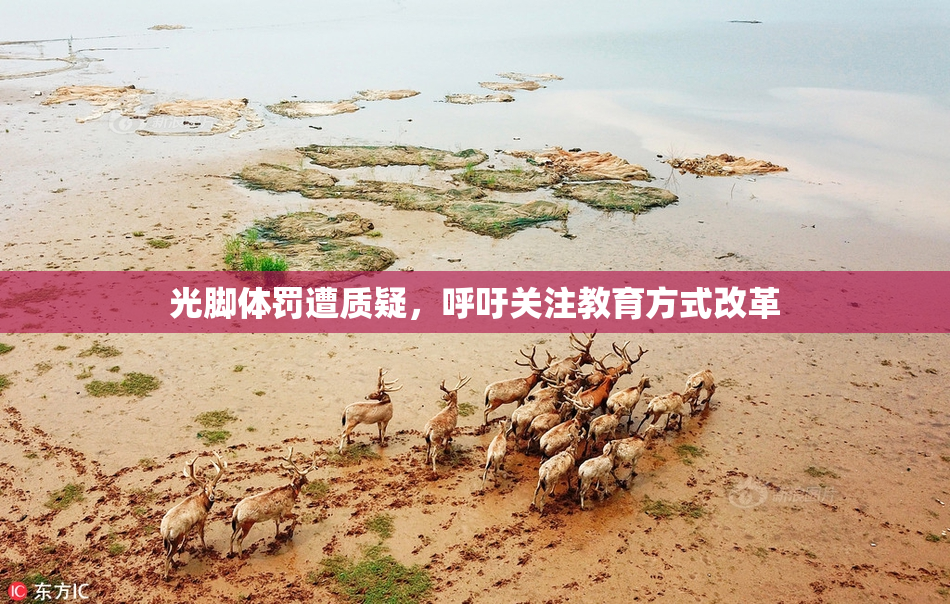 光脚体罚遭质疑，呼吁关注教育方式改革